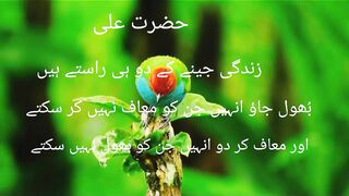 Hazrat Ali quotes