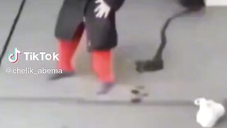 бабка