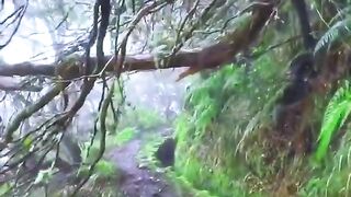 Green world