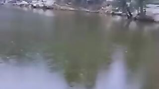 Funny vedio