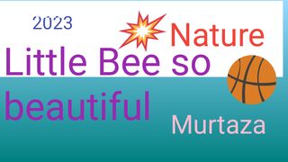 nature and little bee 2023