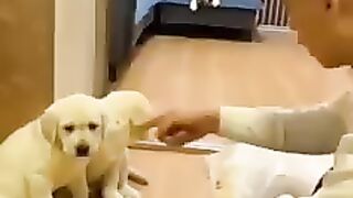 Mom is mom.