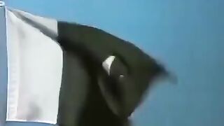 funny video for entertainment