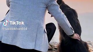 Shepherds lovely Enjoyable TikTok vedio Everyone love to listen it .