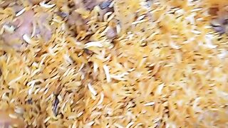Beryani