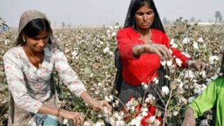 10 facts you didn't know about Pakistan