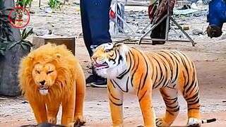 Funny animal