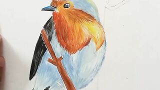 Amezing Bird color Painting