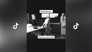 Daddy Daddy Hurry | TikTok Scary Compilation