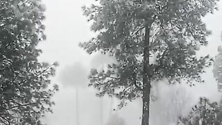 snowfall