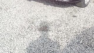 Sports car smoke test