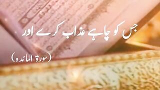 Tilawat e Quran e Pak#Abdul Rehman Moosad #Best Quran Tilawat
