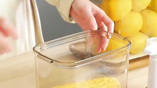 Food vacumme container