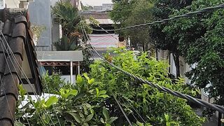 An Afternoon in Yogyakarta
