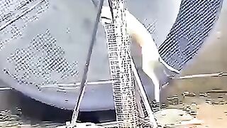 Funny viral video 📸😅