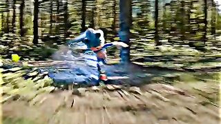 Sonic's unbelievable speed 🚄🚅
