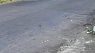 Peaceful Village Walk and Feeding Fish in Small Pond