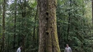 Building a Dream House Around a Giant Tree 🌳🏡 | Incredible AI Build