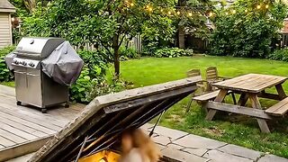 Hidden Backyard Bunker: A Secret Shelter Beneath an Ordinary Garden