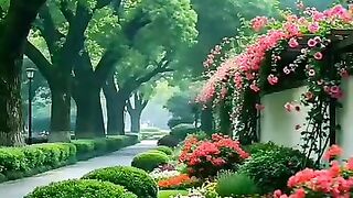 Nice Places.
