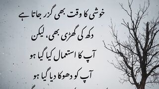 When Life Hurts, Turn to Allah 🤲 | تکلیف میں صبر کی خوبصورت بات
