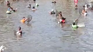 Gropyok Ikan Tahunan, Ratusan Warga Kediri Berburu Ikan di Sumber Jembangan