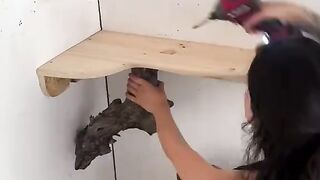 DIY Tree Branch Decor That Looks Like Expensive Designer Art!