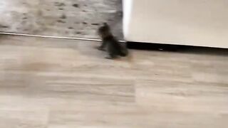 Wait Till The End To See If They ACTUALLY Love Each Other! 😭🐶🐱