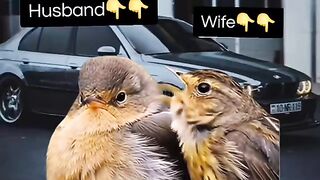 Marriage life everywhere 😂🤣🤣