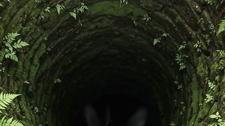 Two Mysterious Black Birds Emerge from a Hidden Forest Hole! 🖤🐦