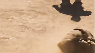 She Faced the Soldier… And Everyone Was STUNNED 😳🇺🇸 #shorts #usaarmy #usashorts #usa