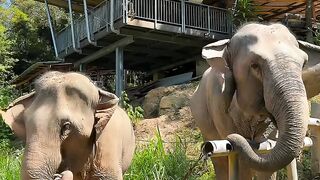 Travel in Thailand
