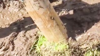 Mud fails 😂🤣 #shorts #fails #shortsfeed