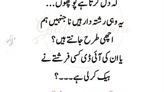 gulwareeenaa 30
