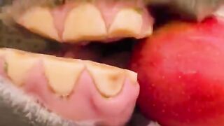 TRY NOT TO LAUGH! 🤣 Funniest Animals Caught Being Total Derps 🐴💀