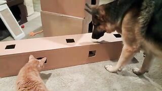 Teamwork makes the dream work 2