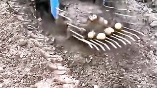 These Incredible Machines Will Blow Your Mind! 🤯⚡