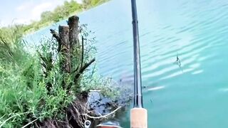 memancing ikan mendapatkan kakap