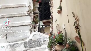 viaggiaconwallace