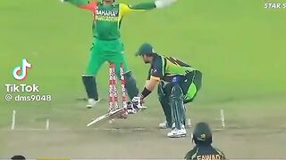 Cricket Lover 4
