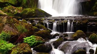 ✅Natureza em Movimento / Cascata, Vento e Paz Absoluta