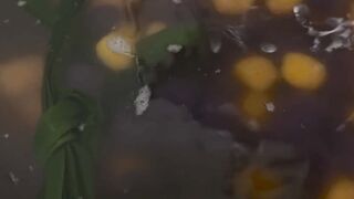 The Viral QQ Ball food