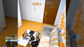 MOOD BOOSTER! 🤣😂 FUNNIEST CCTV MOMENTS THAT WILL MAKE YOU LAUGH OUT LOUD!