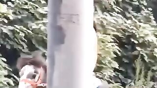 the horse is good....