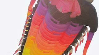 Giant Rainbow Trilobite Horseshoe Crab Kite Flying At Kite Festival Colorful Marine Creature Kite