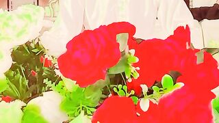My Vedio naat