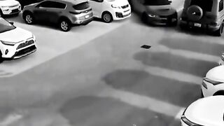 Jeep car 2