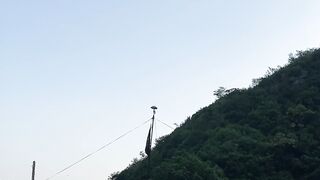 Mountain 🏔️ View