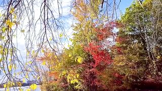 Love Autumn🍁🍂 Fall colors🍁🍂❤️