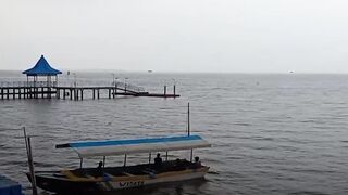 Hiu Tutul Muncul Lagi di Pantai Bentar Probolinggo